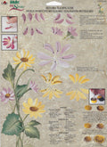 CLEARANCE:  Plaid One Stroke Reusable Teaching Guide 1166 Daisies - Donna Dewberry