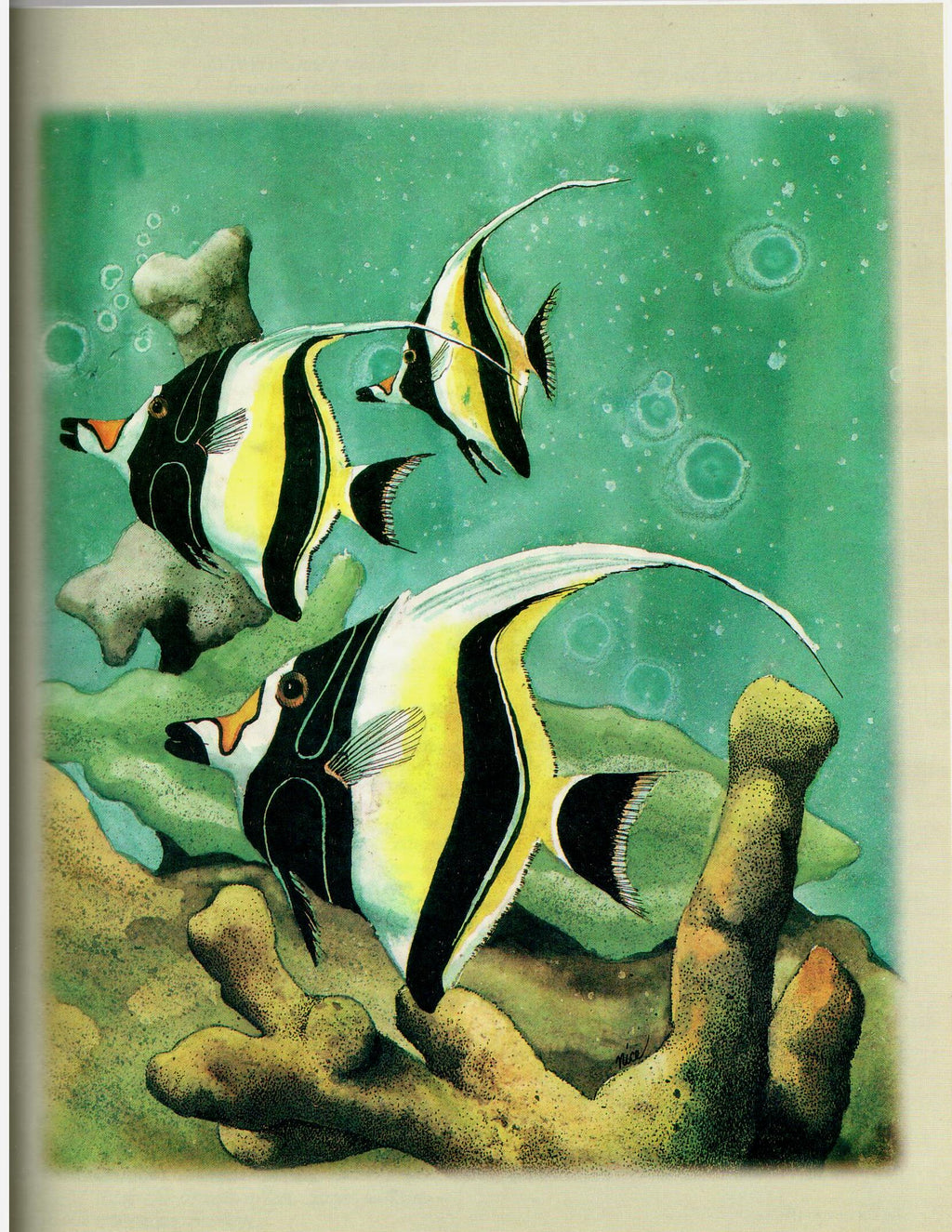 The Decorative Painter - 1995 Issue 4