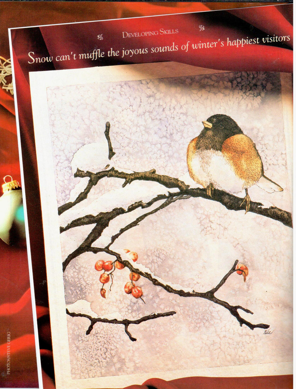 The Decorative Painter - 1995 Issue 6