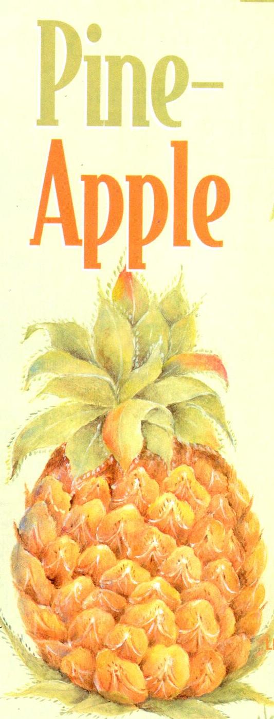 The Decorative Painter - 2001 Issue 5
