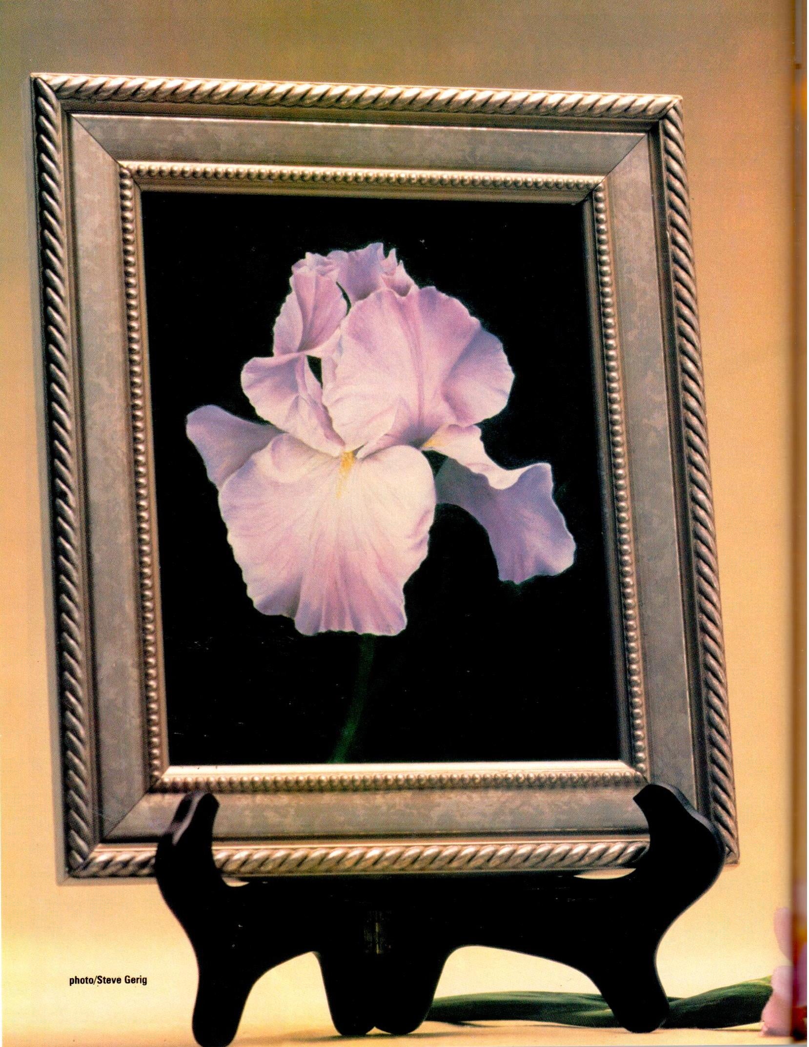 The Decorative Painter - 2002 Issue 1