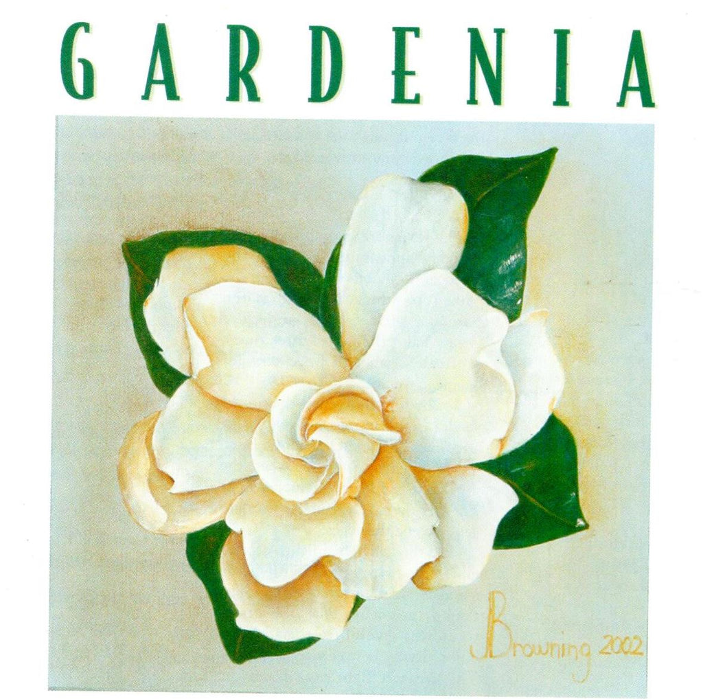 The Decorative Painter - 2003 Issue 2