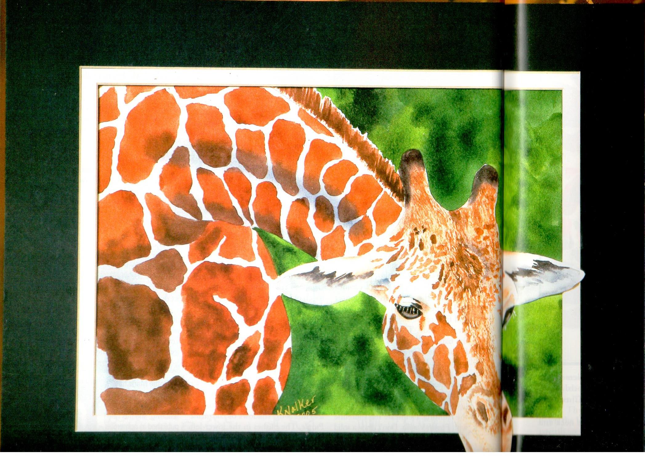 The Decorative Painter - 2005 Issue 5