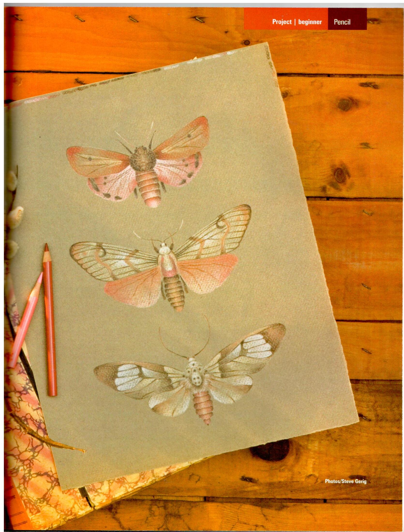 The Decorative Painter - 2007 Issue 3