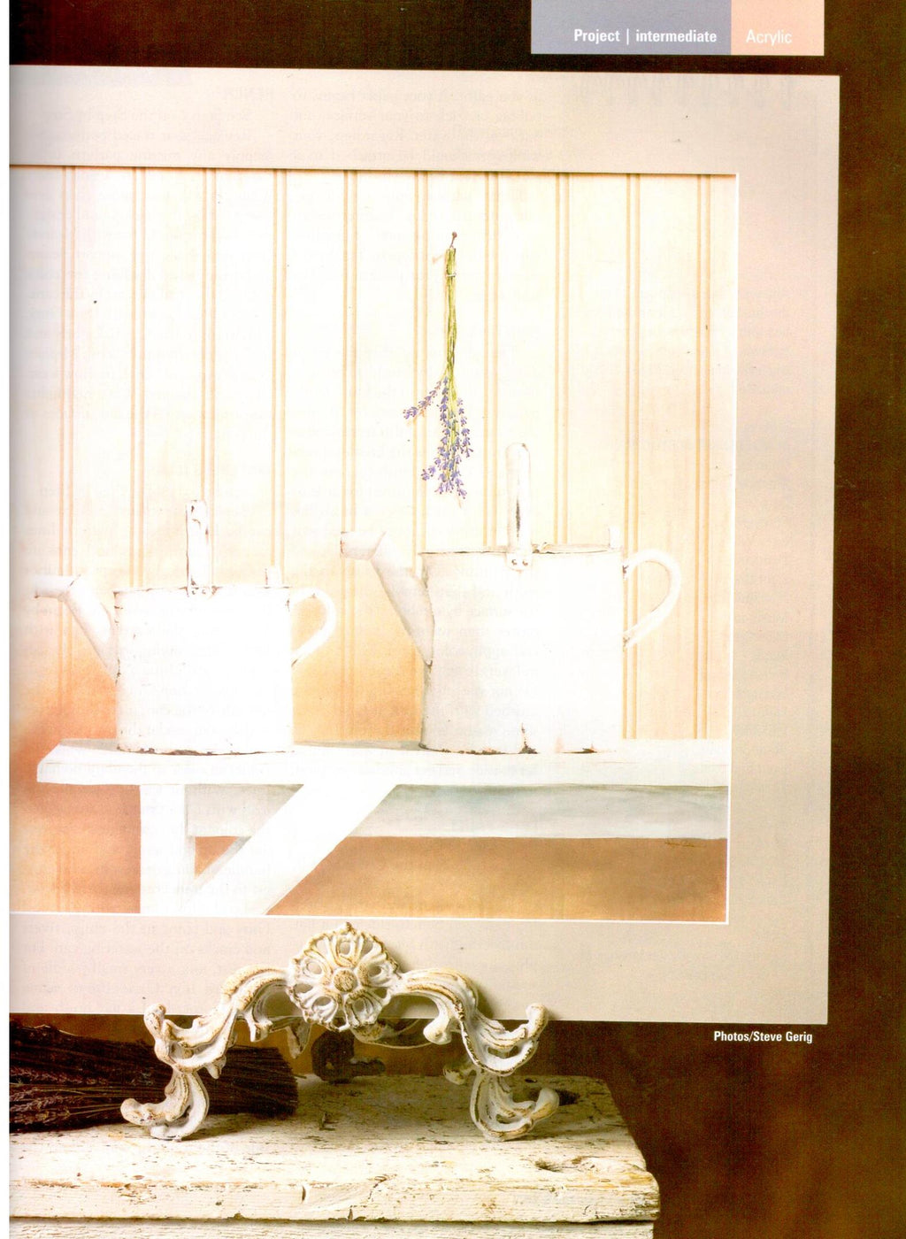 The Decorative Painter - 2007 Issue 5