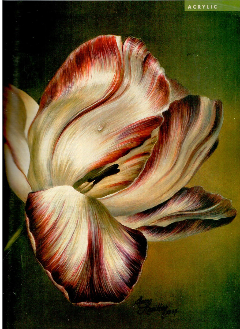 The Decorative Painter - 2008 Issue 1 Spring