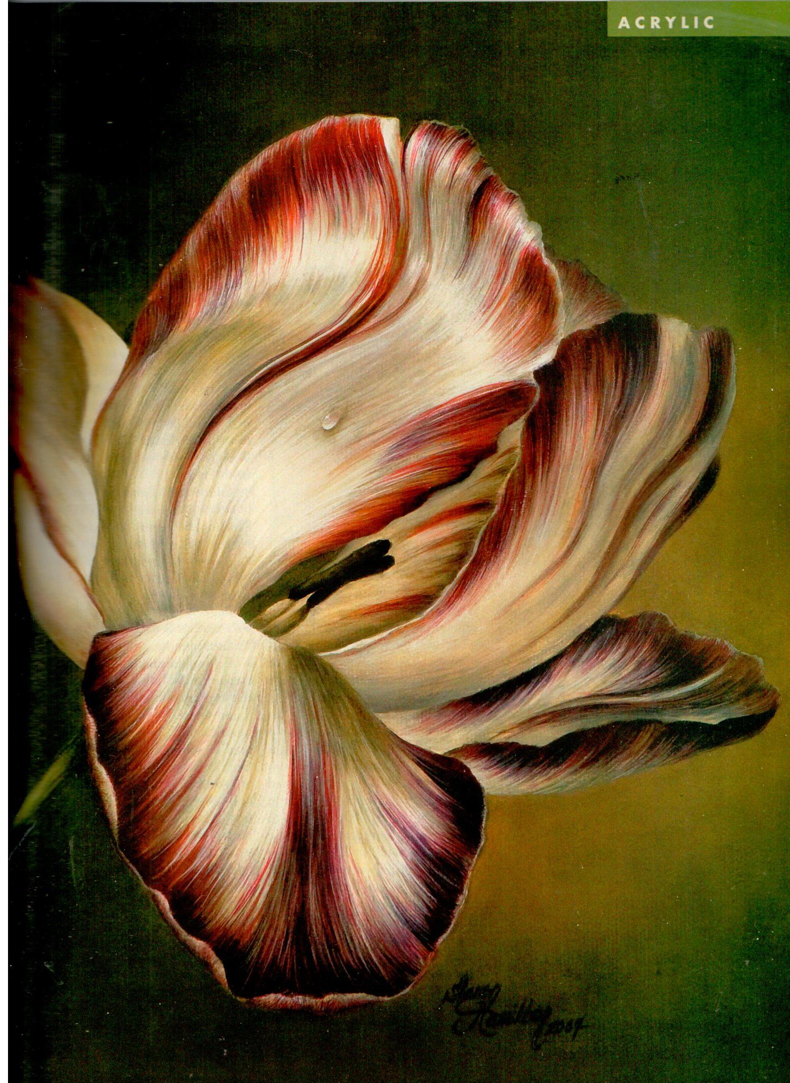 The Decorative Painter - 2008 Issue 1 Spring