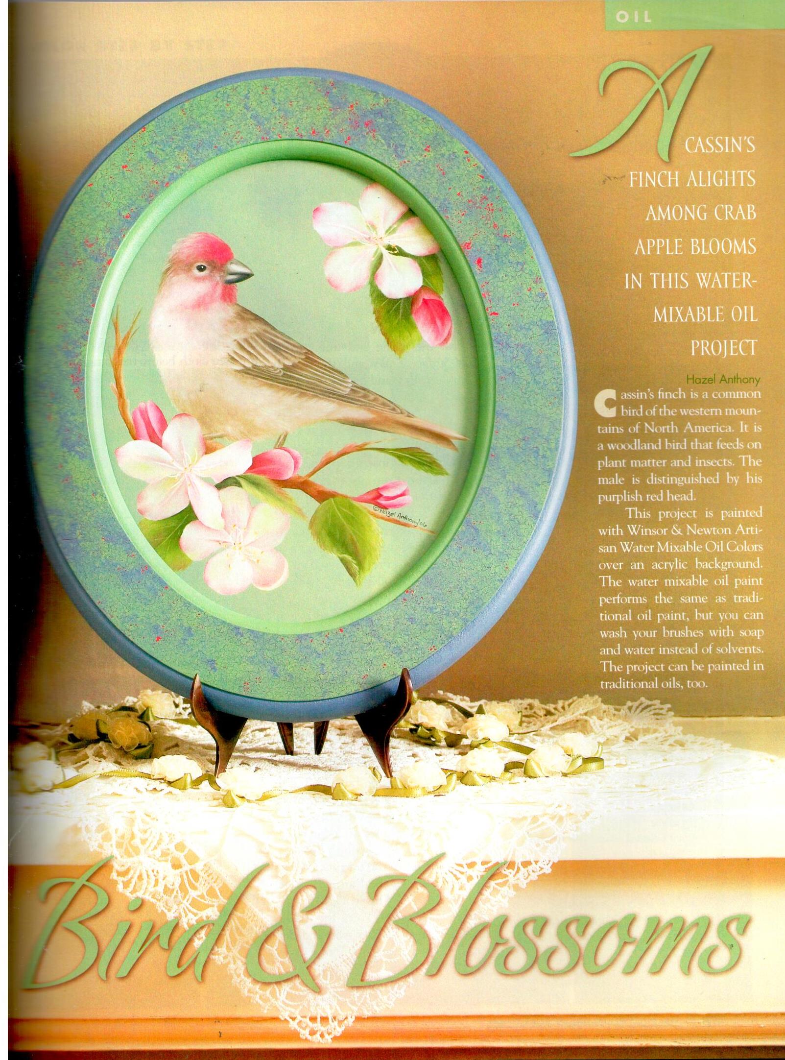 The Decorative Painter - 2008 Issue 1 Spring