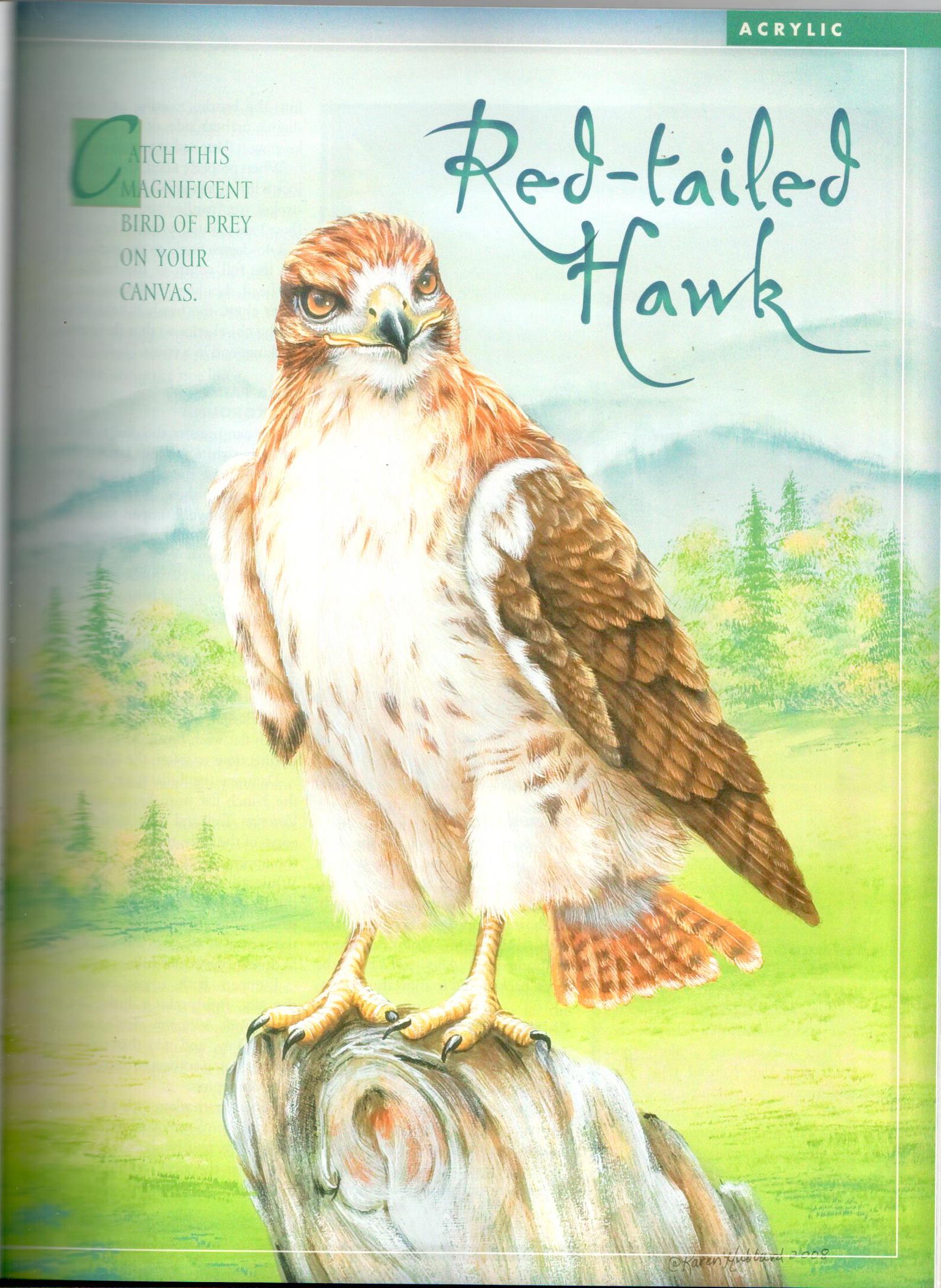 The Decorative Painter - 2008 Issue Fall