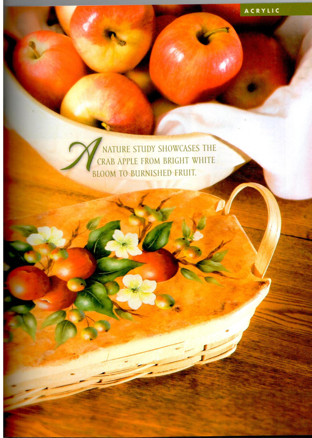 The Decorative Painter - 2008 Issue Summer