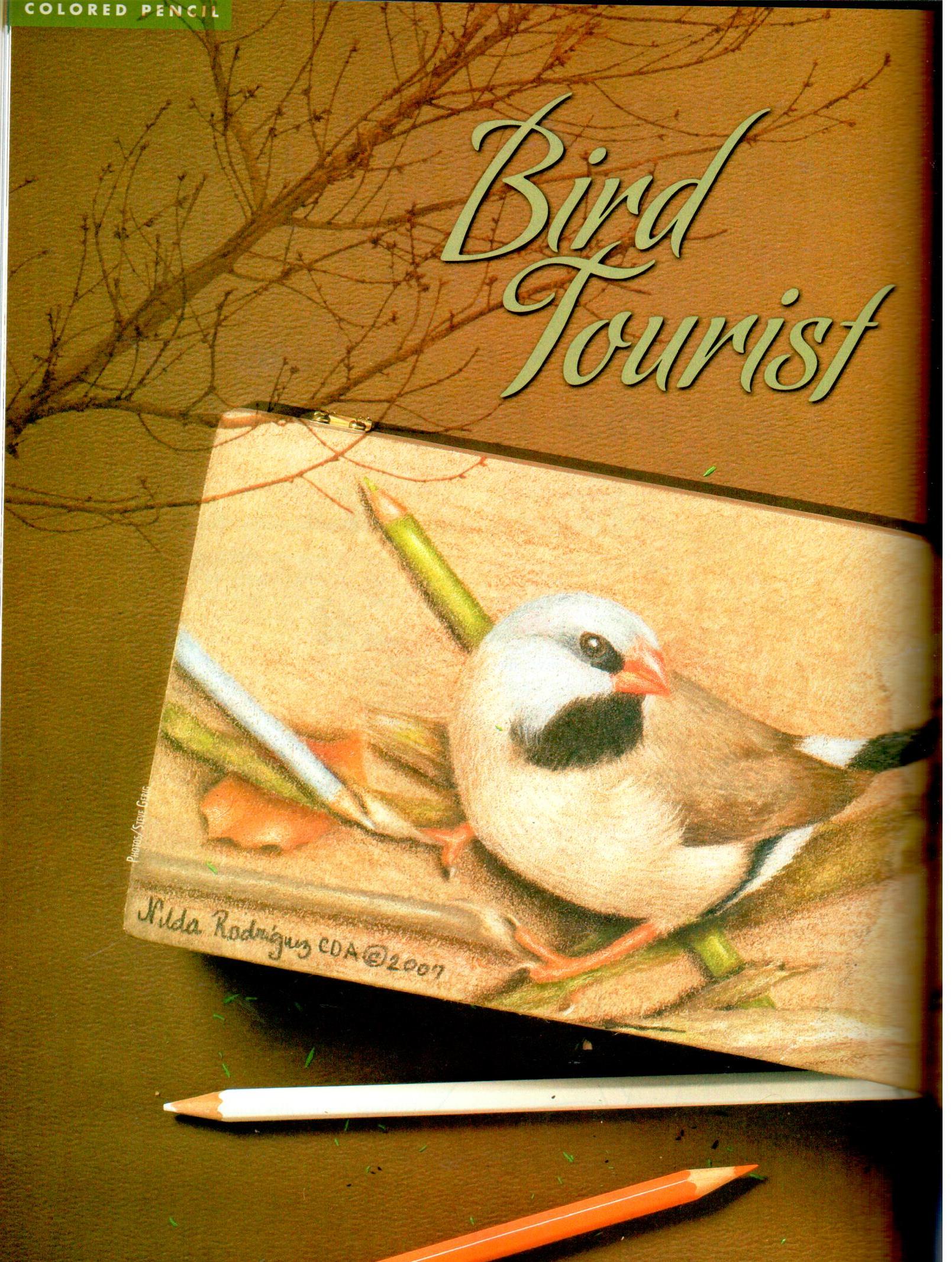 The Decorative Painter - 2008 Issue Summer