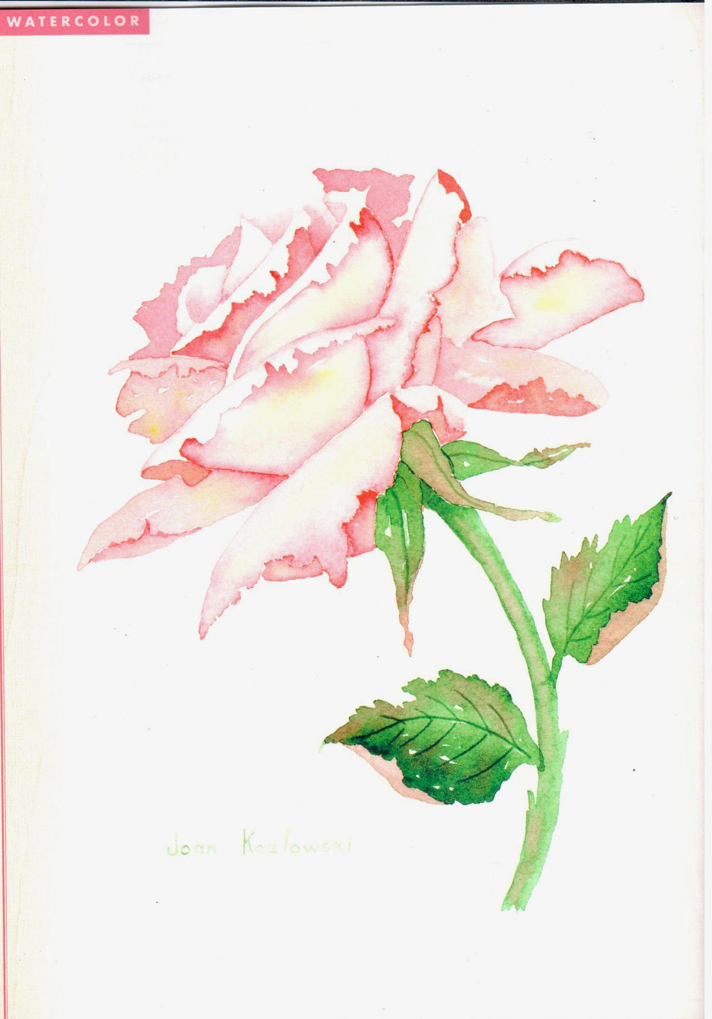 The Decorative Painter - Fall 2009 Issue 3