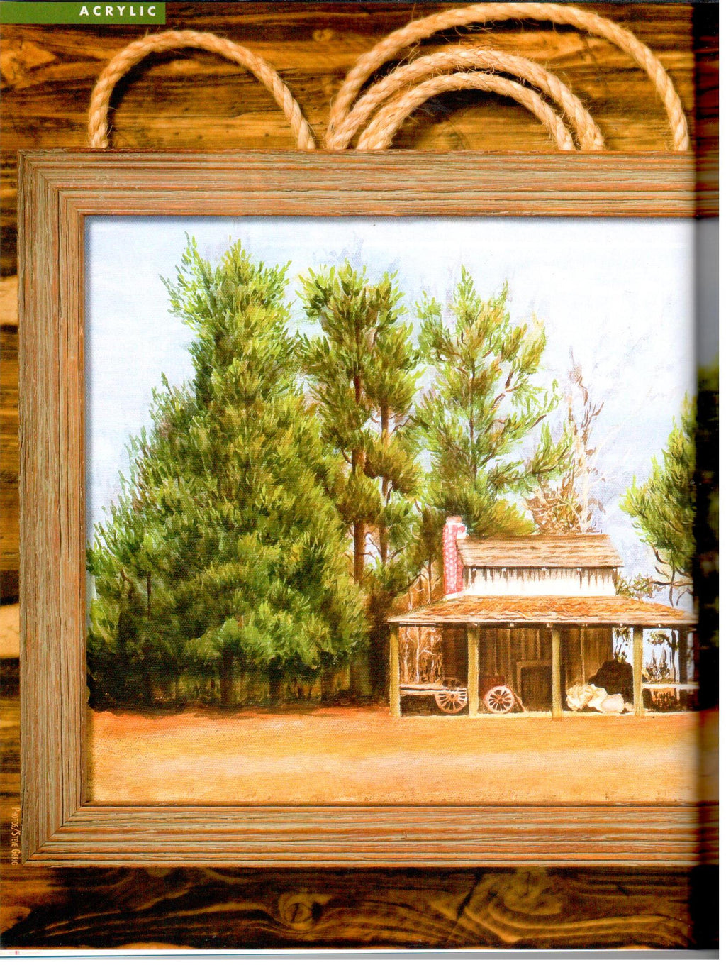 The Decorative Painter - Fall 2009 Issue 3