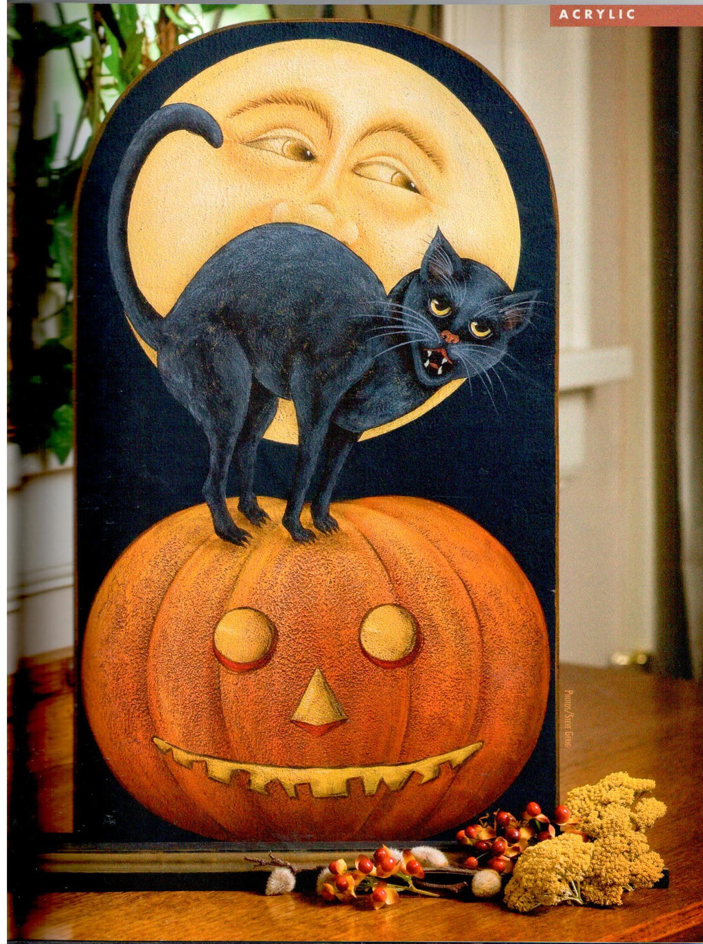 The Decorative Painter - Fall 2009 Issue 3