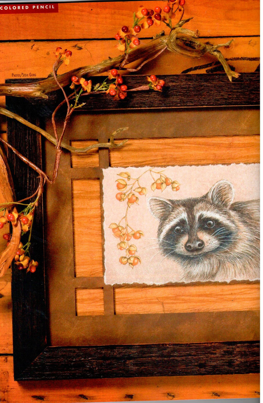 The Decorative Painter - Fall 2009 Issue 3