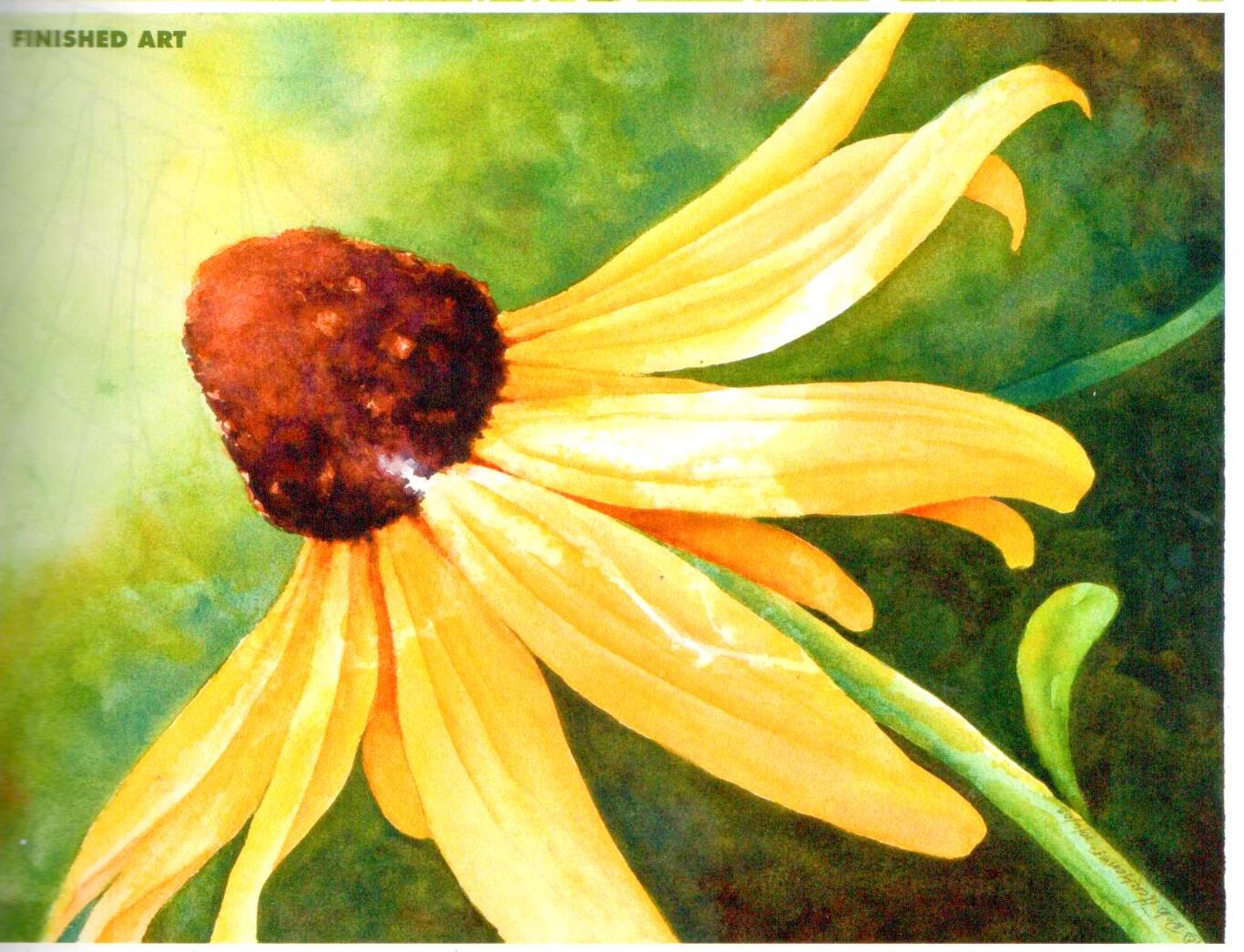 The Decorative Painter - 2009 Issue Summer