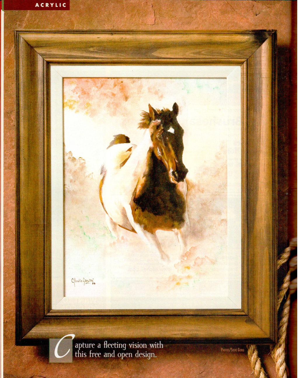 The Decorative Painter - 2009 Issue Summer