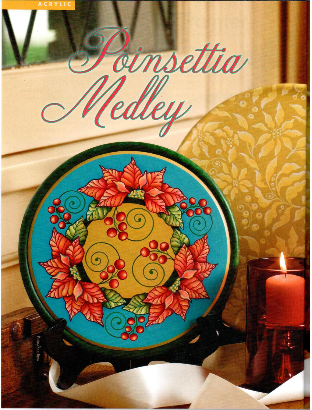 The Decorative Painter - 2009 Issue Winter