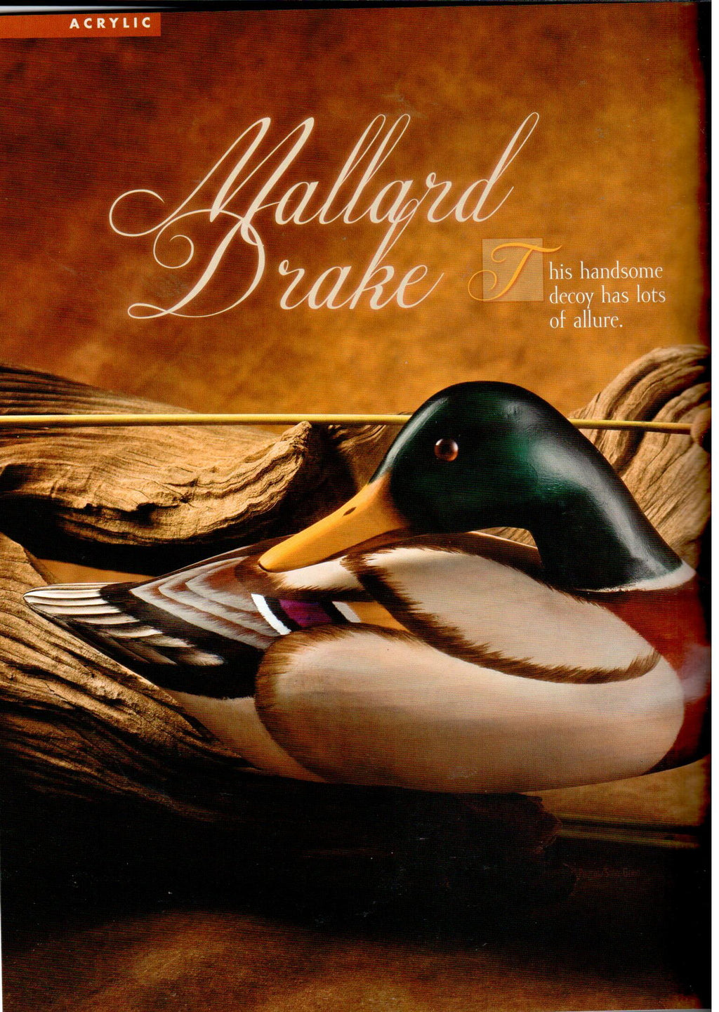 The Decorative Painter - 2009 Issue Winter