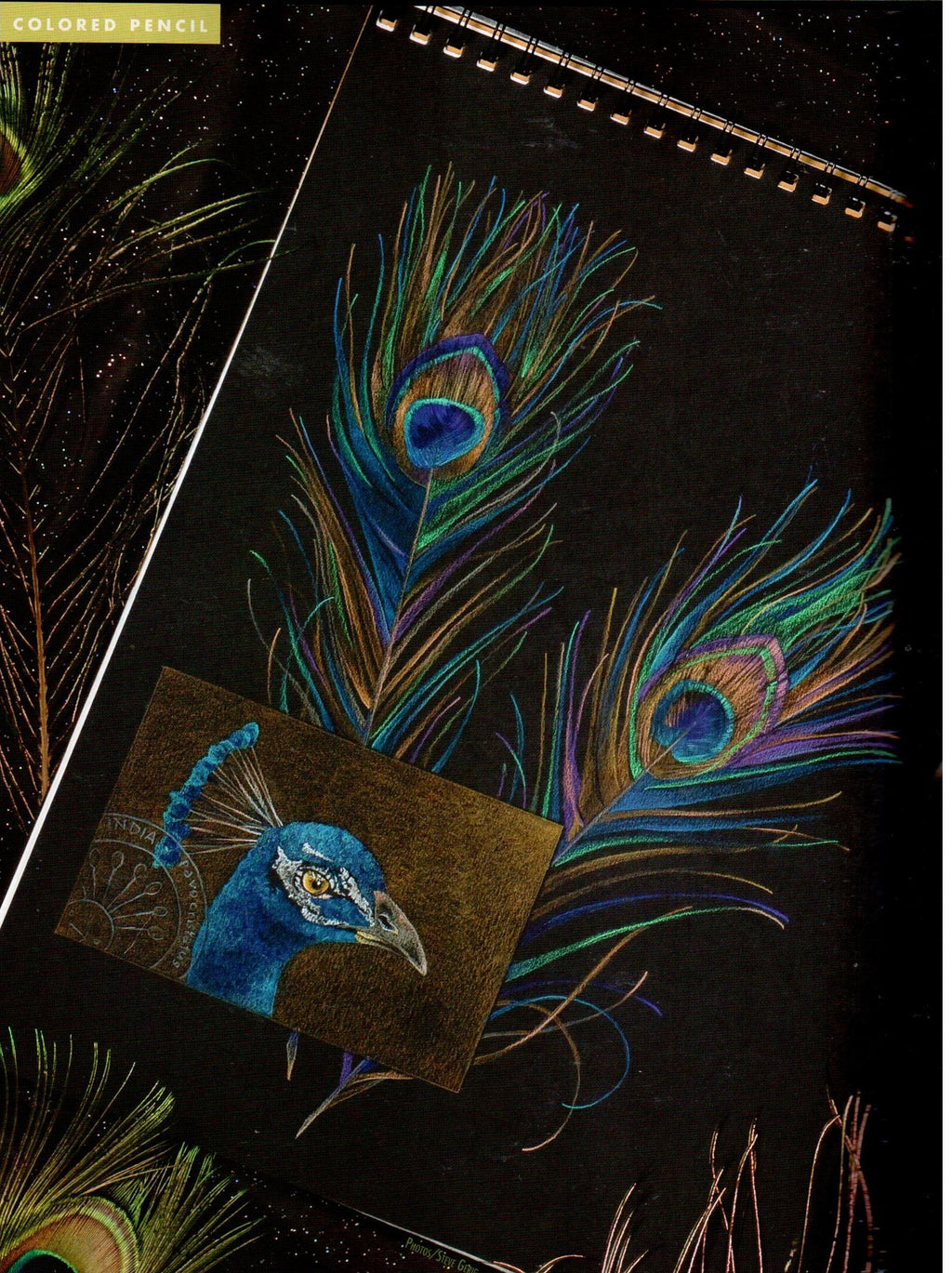 The Decorative Painter - 2010 Issue 2