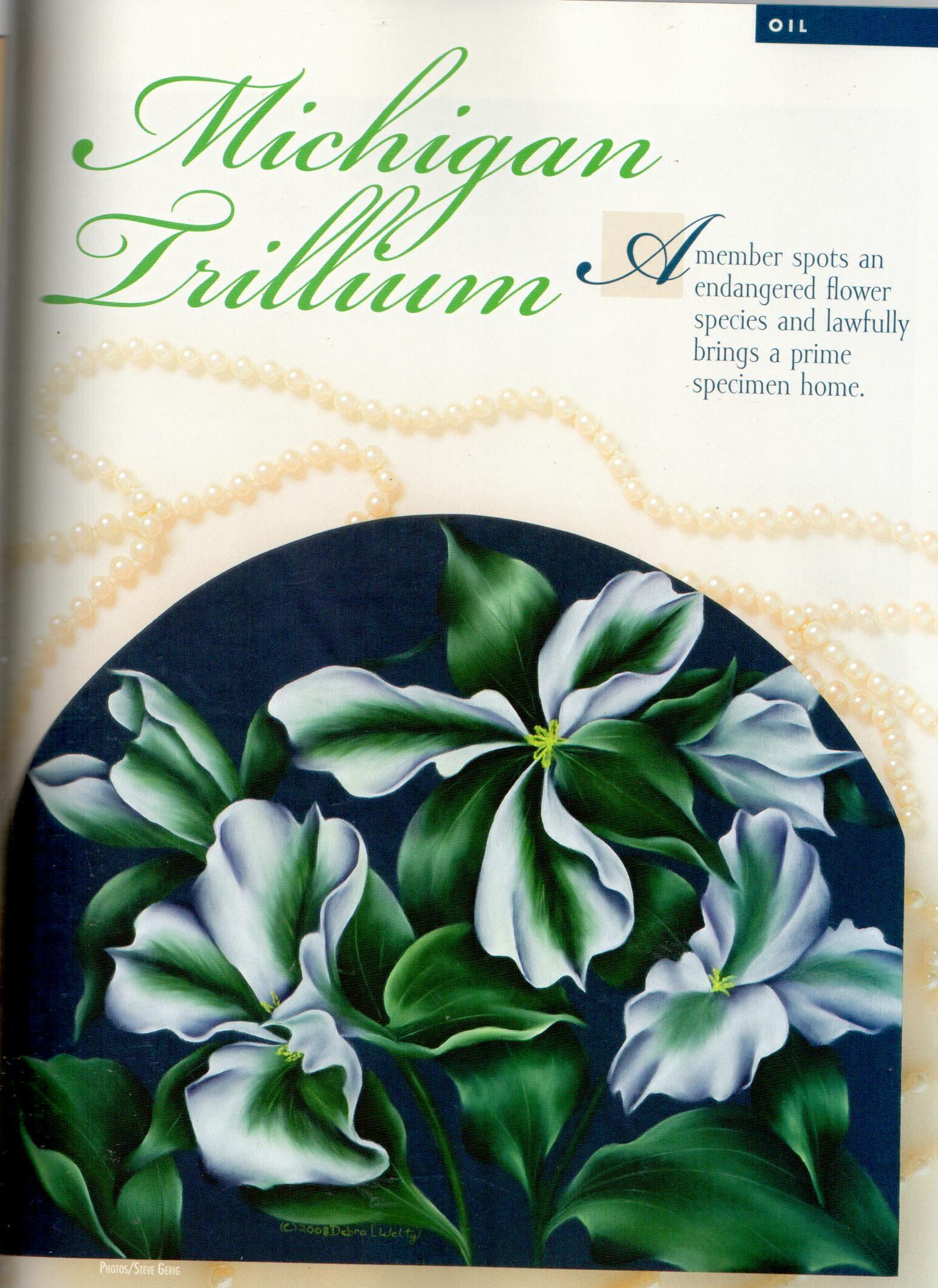 The Decorative Painter - 2010 Issue 2