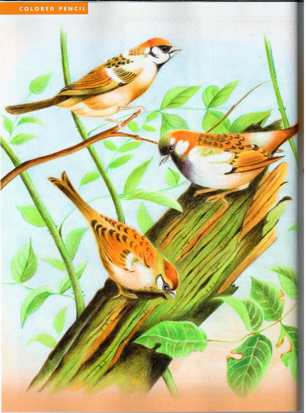 The Decorative Painter - 2010 Issue 4