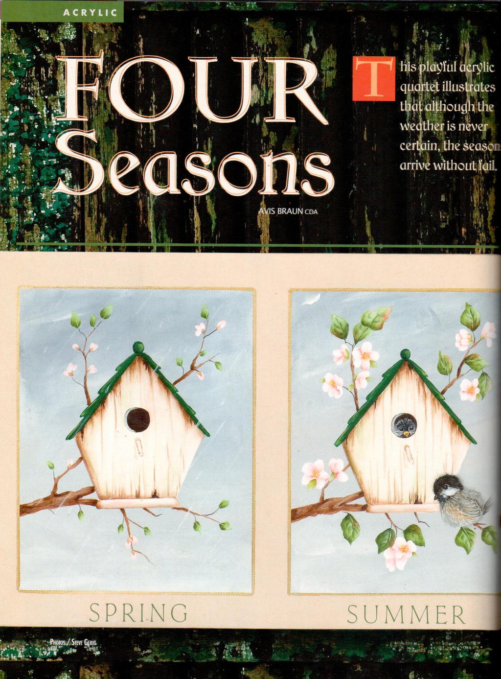 The Decorative Painter - 2011 Issue 1