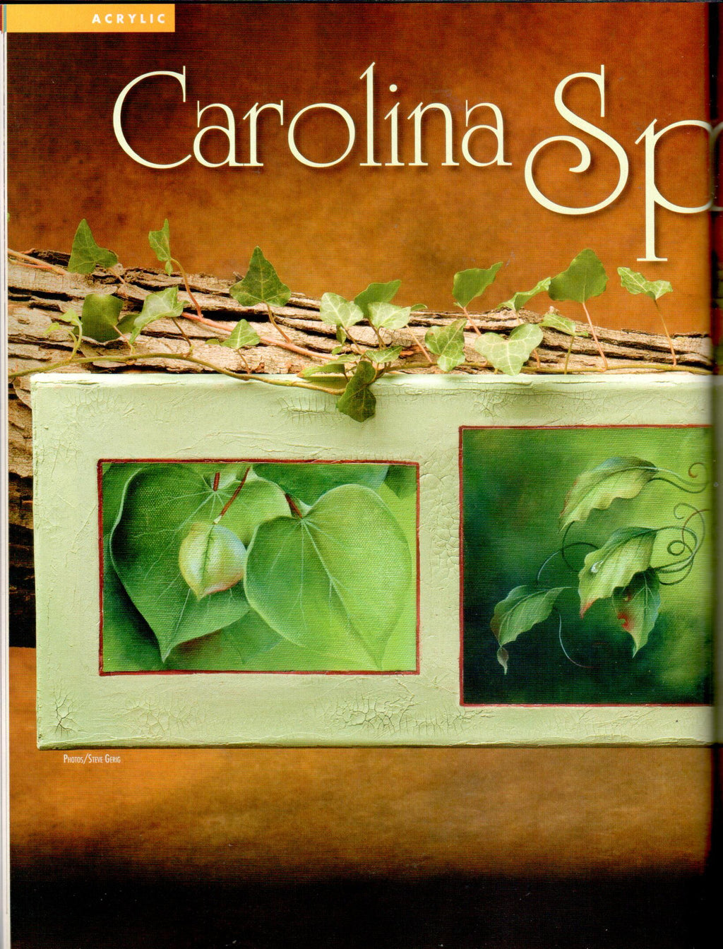 The Decorative Painter - 2011 Issue 2