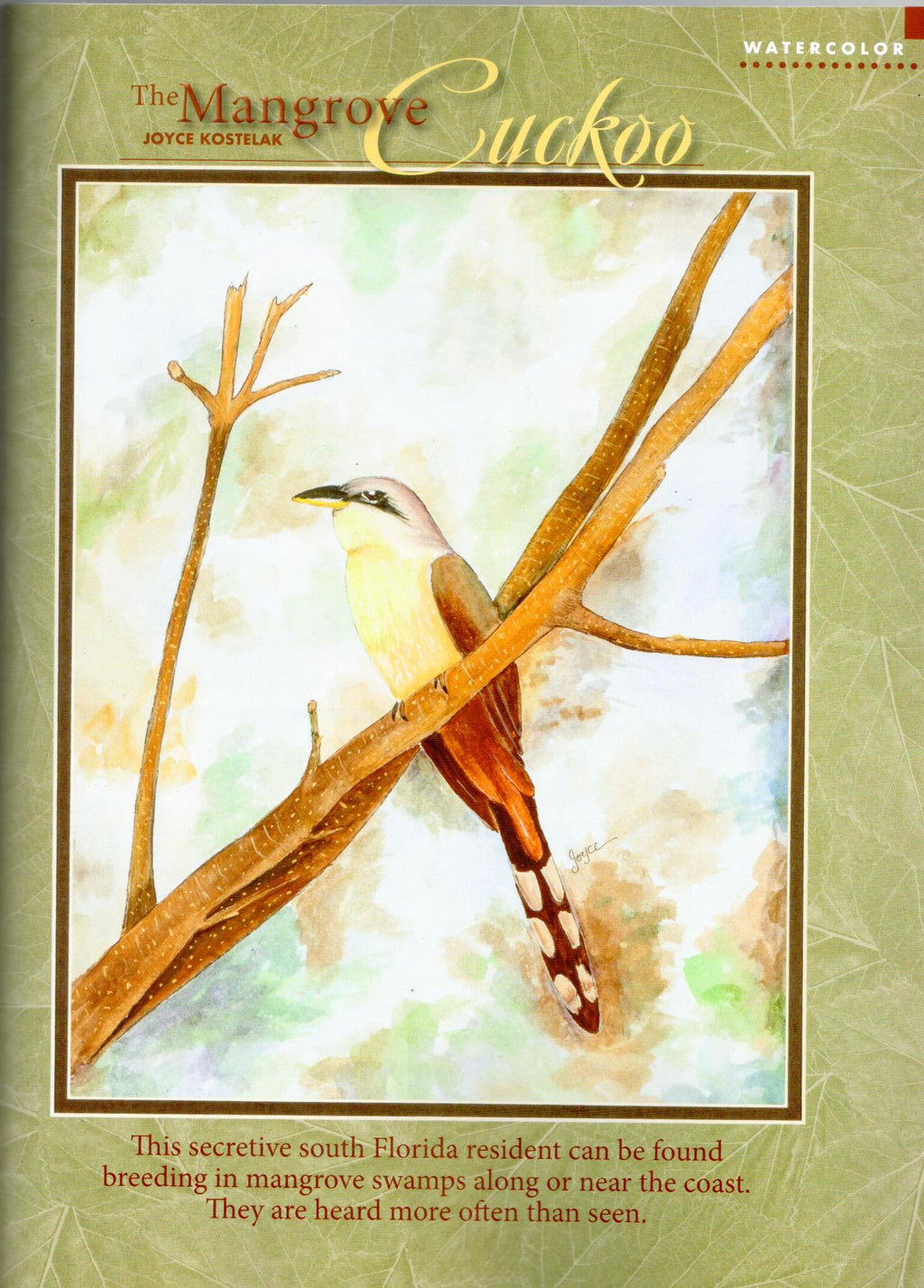 The Decorative Painter - 2012 Issue 4