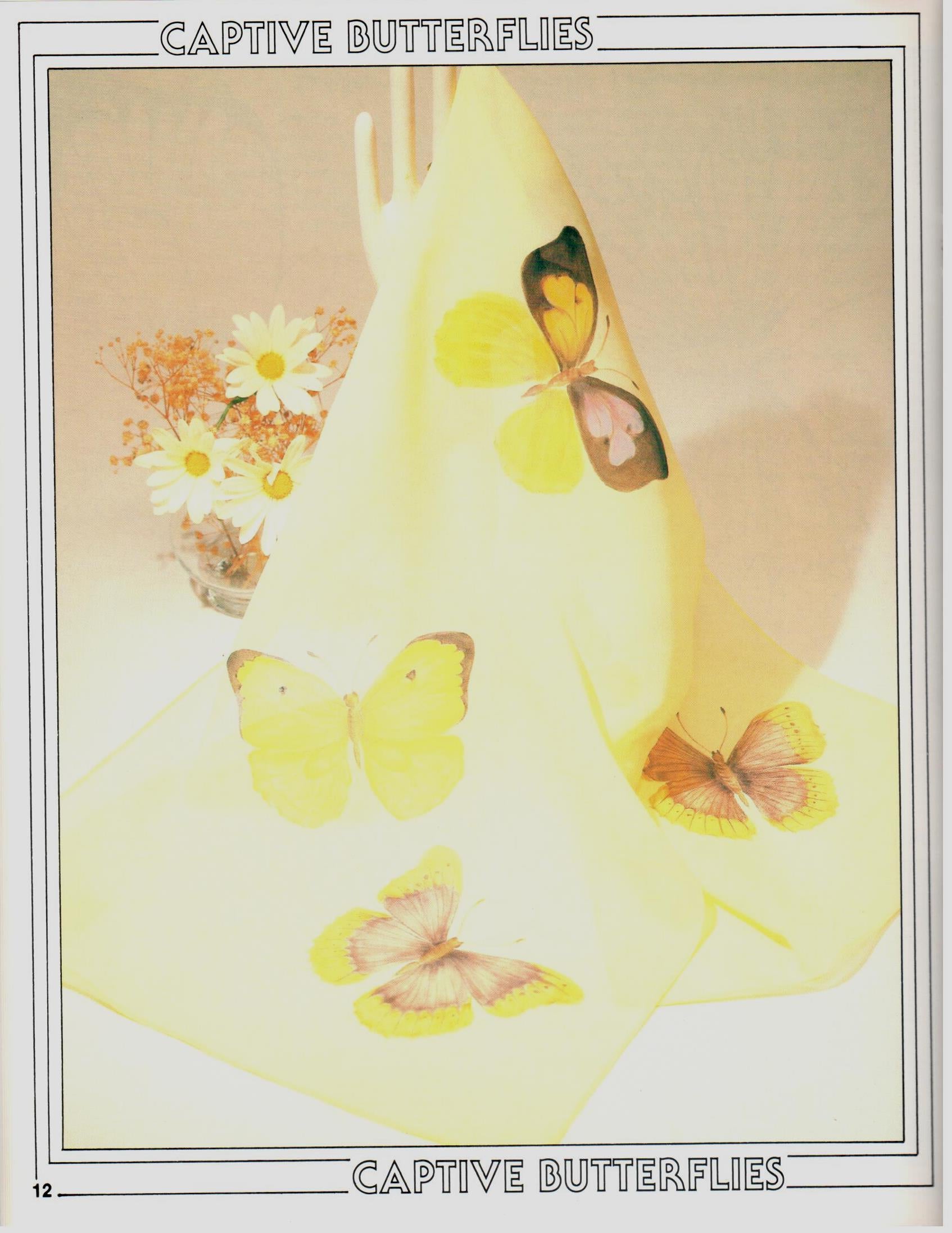CLEARANCE: Fashion Painting 2 - Marg Wing