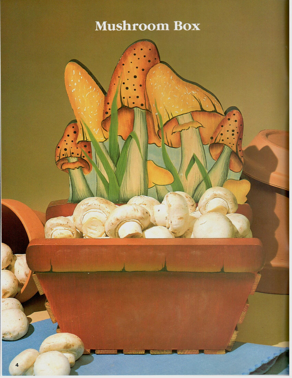 CLEARANCE: Just Plain Country - Sandy Aubuchon