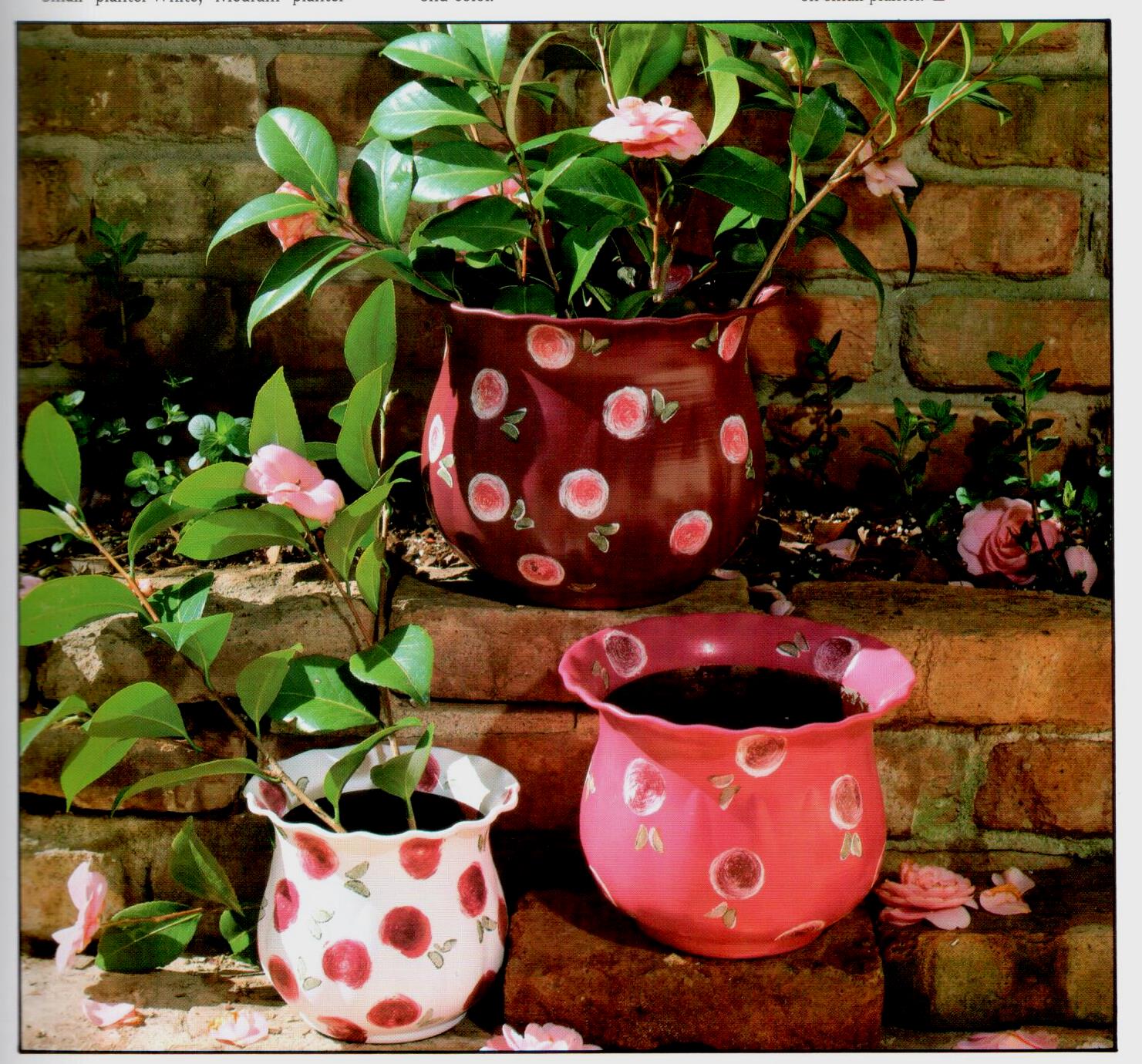 CLEARANCE: Paint It for Outdoors - Susan Goans Driggers