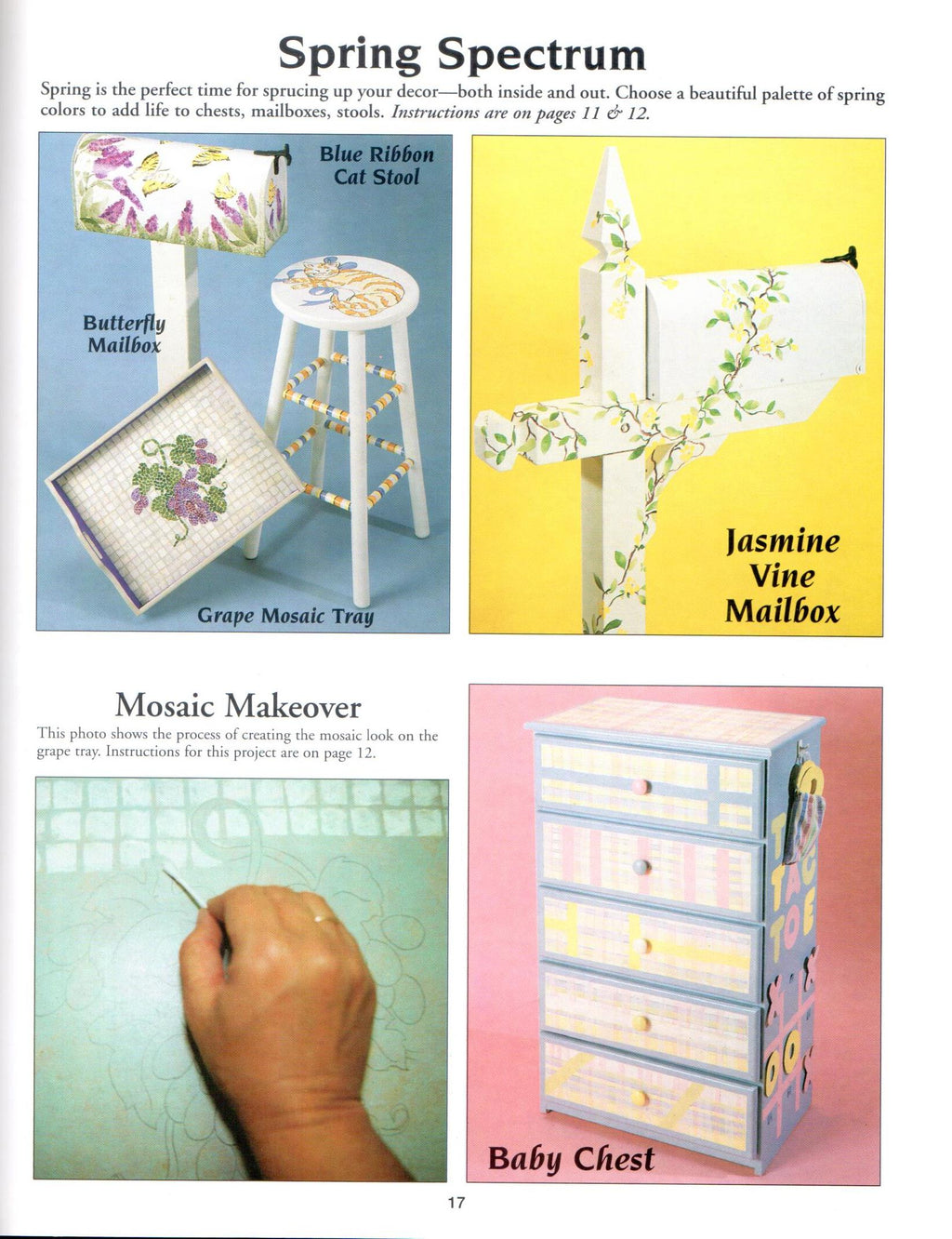 CLEARANCE: Makeovers for Furniture and Decor - Susan Goans Driggers