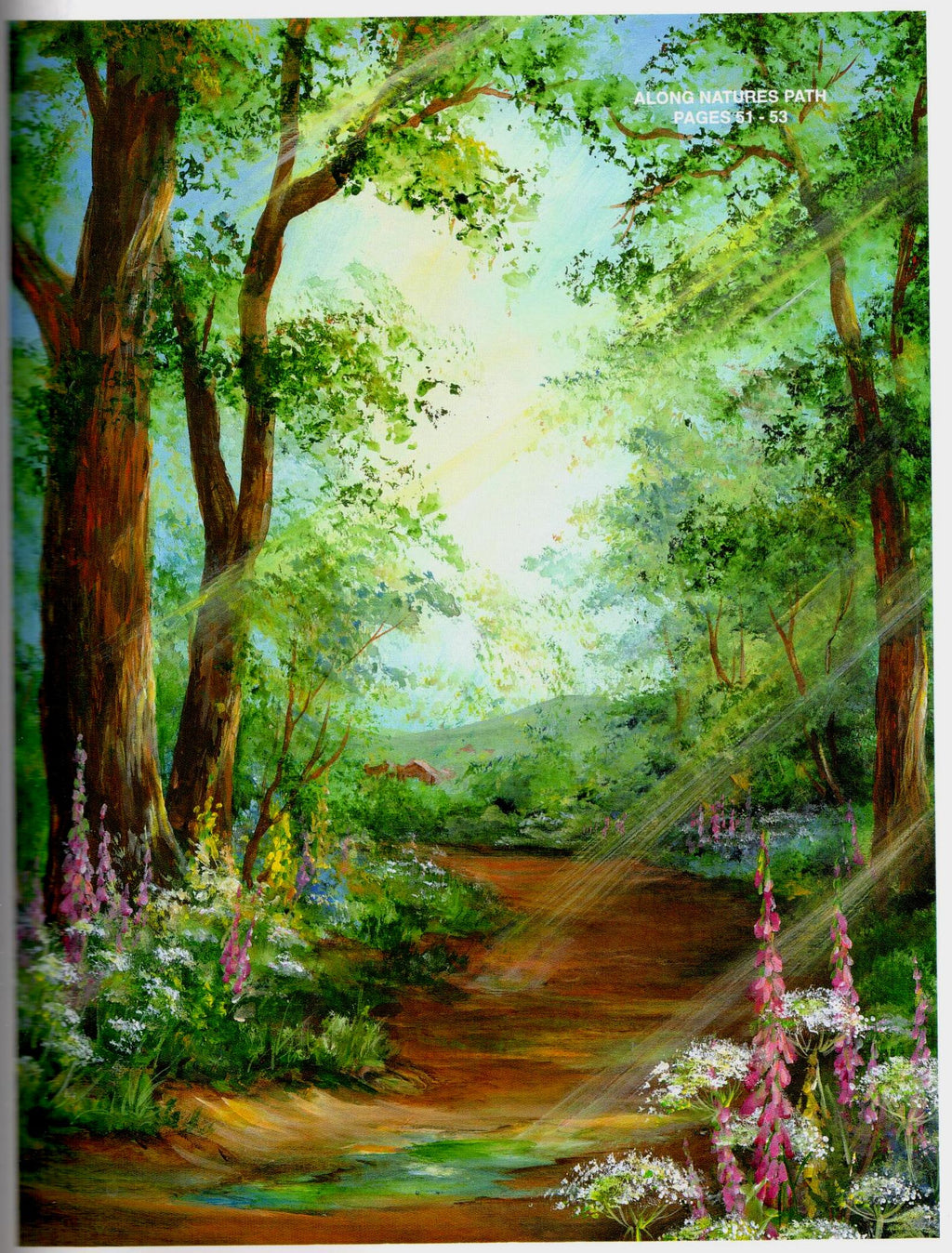 Along Country Roads - Susan Scheewe Brown - OOP