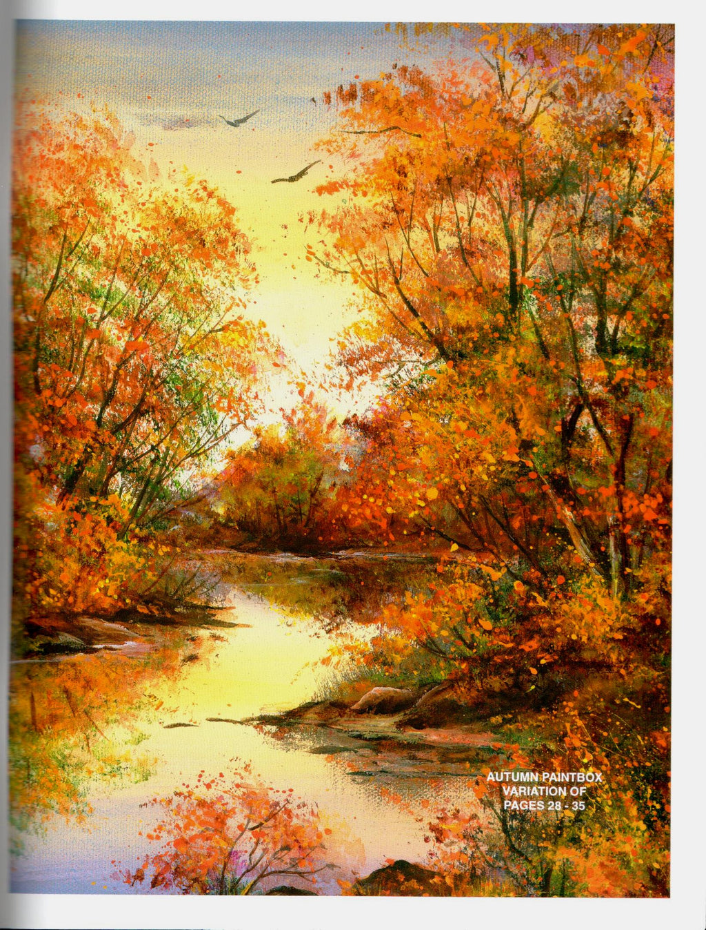 Along Country Roads - Susan Scheewe Brown - OOP