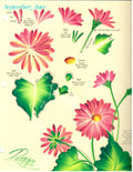CLEARANCE: One Stroke Worksheet September Aster & October Marigold  - Donna Dewberry