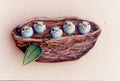 Baby Birds Pin - Judy Malone