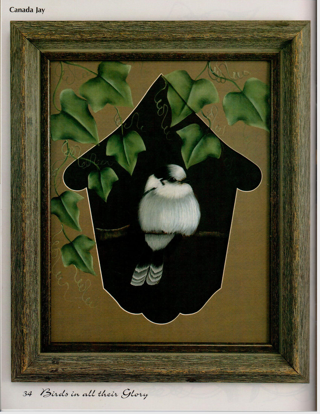 Birds In All Their Glory - Nancy Dale Kinney - OOP