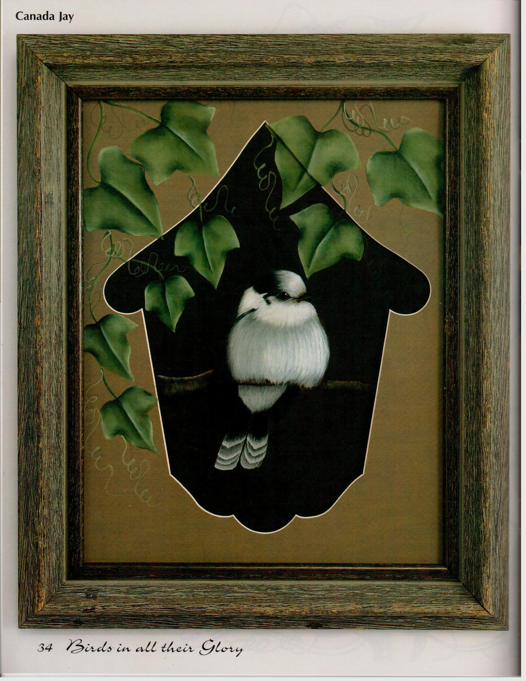 Birds In All Their Glory - Nancy Dale Kinney - OOP