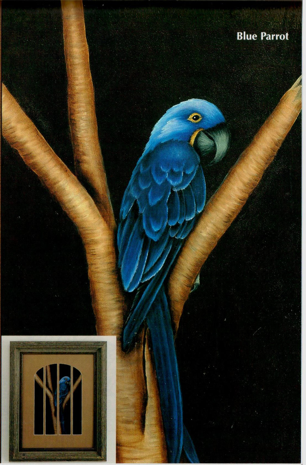CLEARANCE: Birds In All Their Glory - Nancy Dale Kinney