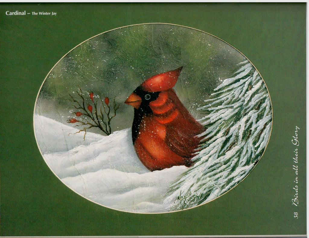 Birds In All Their Glory - Nancy Dale Kinney - OOP