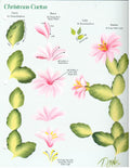 CLEARANCE: One Stroke Worksheet Christmas Cactus & Zinnia - Donna Dewberry
