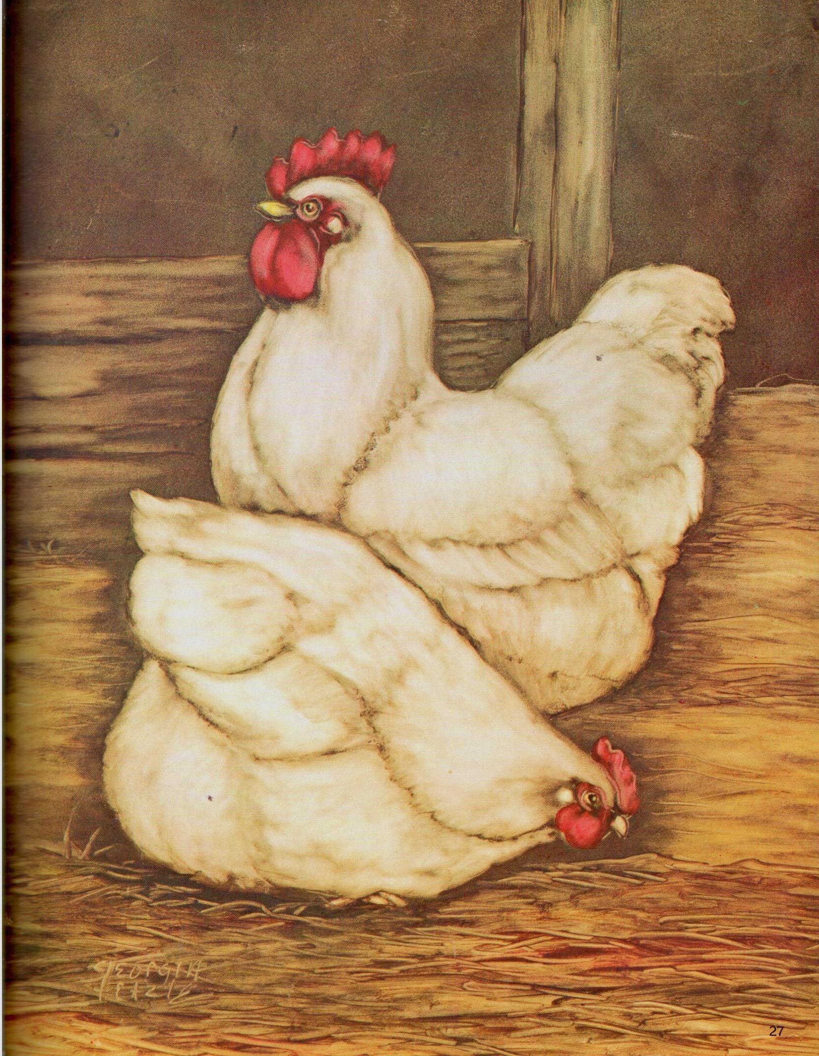 CLEARANCE: Basic Beginnings of Rub-Out Painting - Georgia Feazle