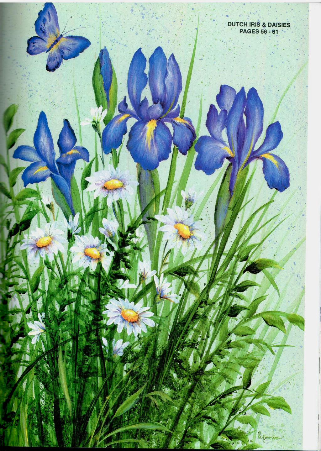 SHELFWORN: Echoes of Nature - Sue Scheewe-Brown - OOP
