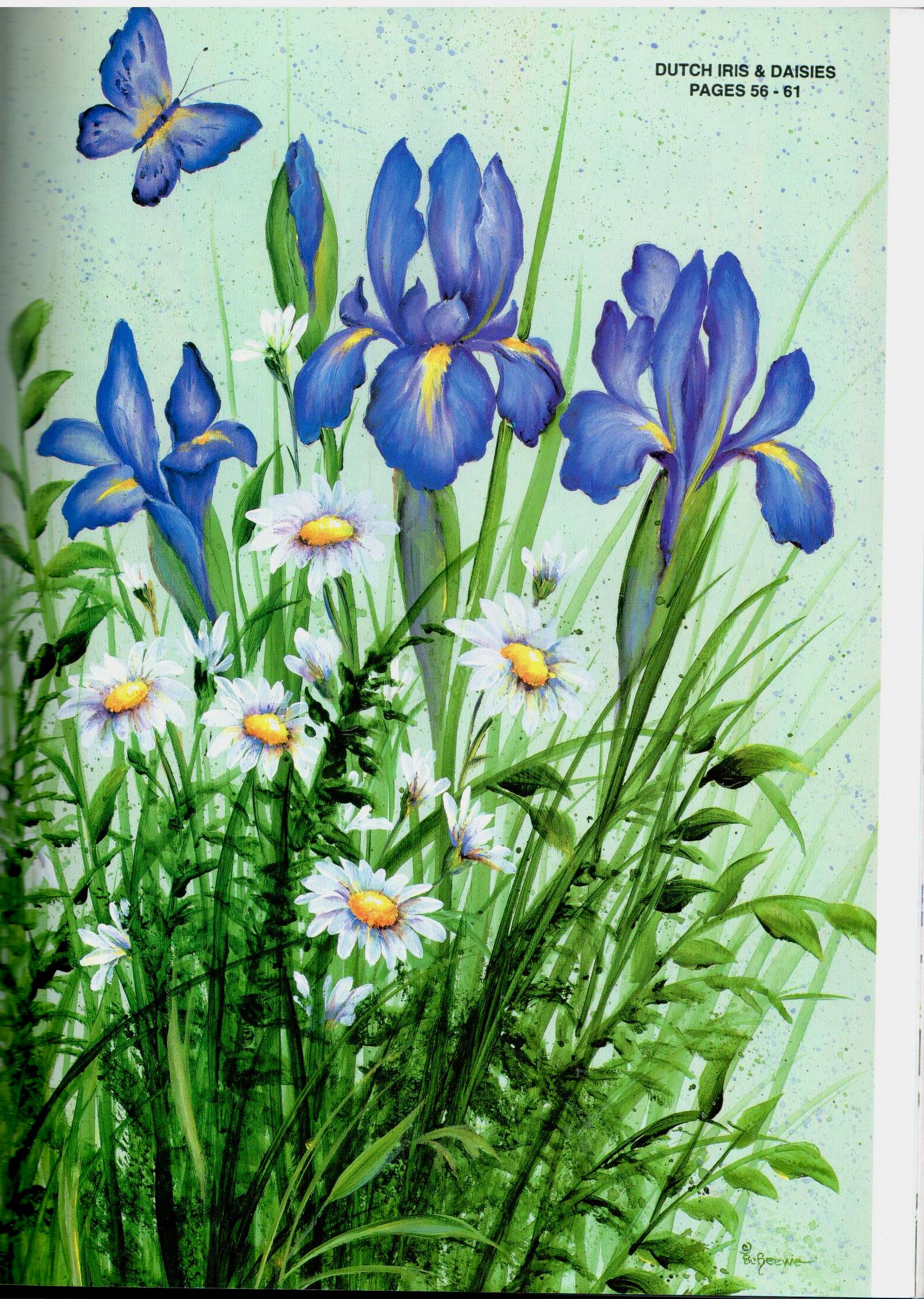 SHELFWORN: Echoes of Nature - Sue Scheewe-Brown - OOP