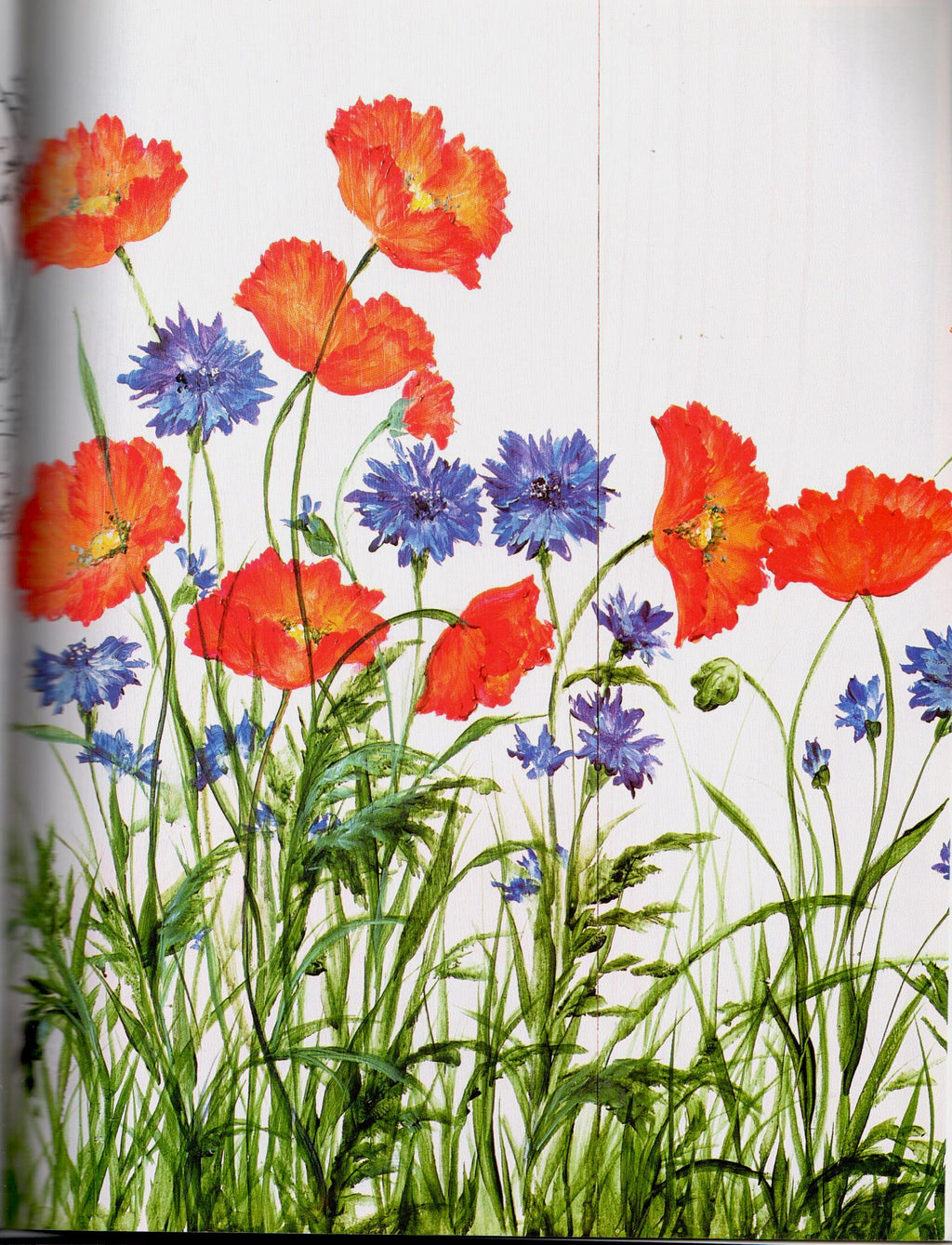 SHELFWORN: Echoes of Nature - Sue Scheewe-Brown - OOP