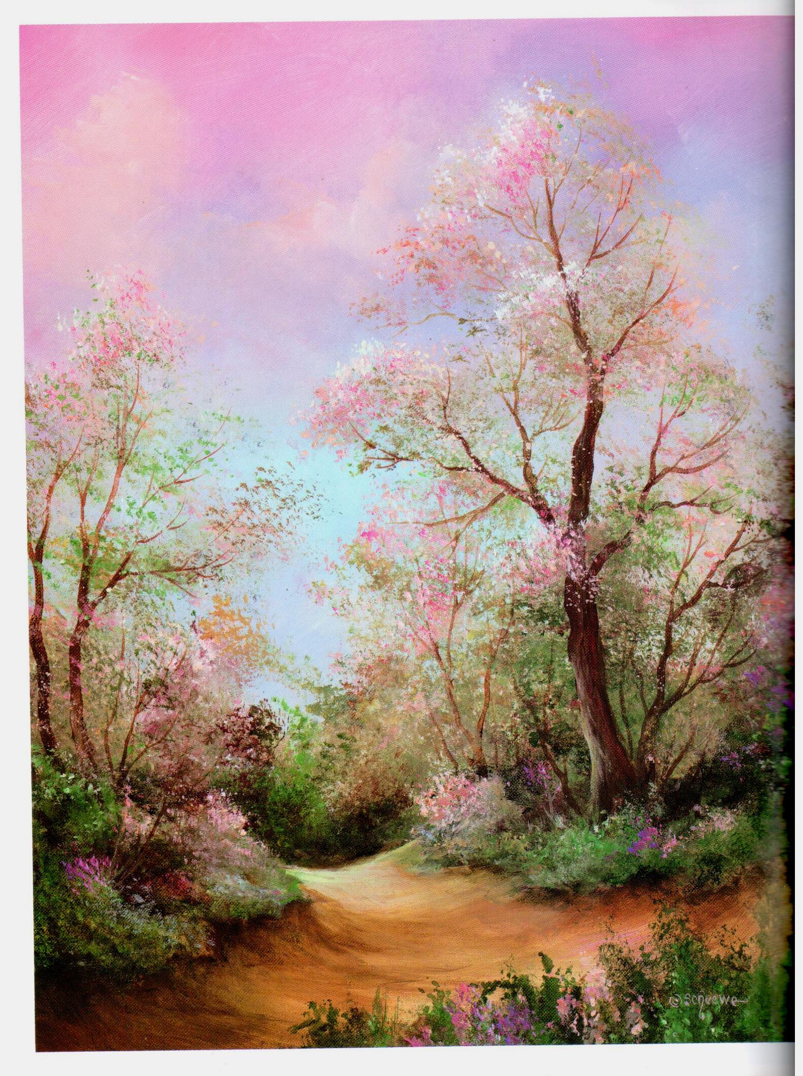 SHELFWORN: Echoes of Nature - Sue Scheewe-Brown - OOP