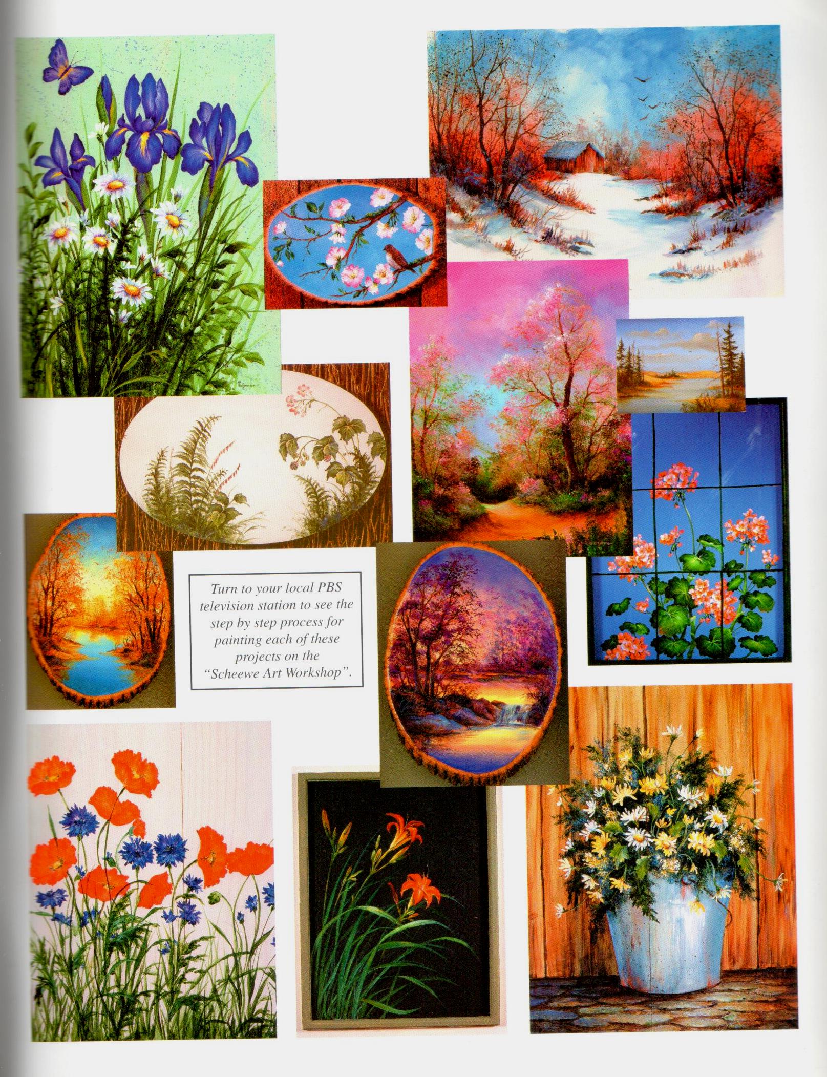 SHELFWORN: Echoes of Nature - Sue Scheewe-Brown - OOP