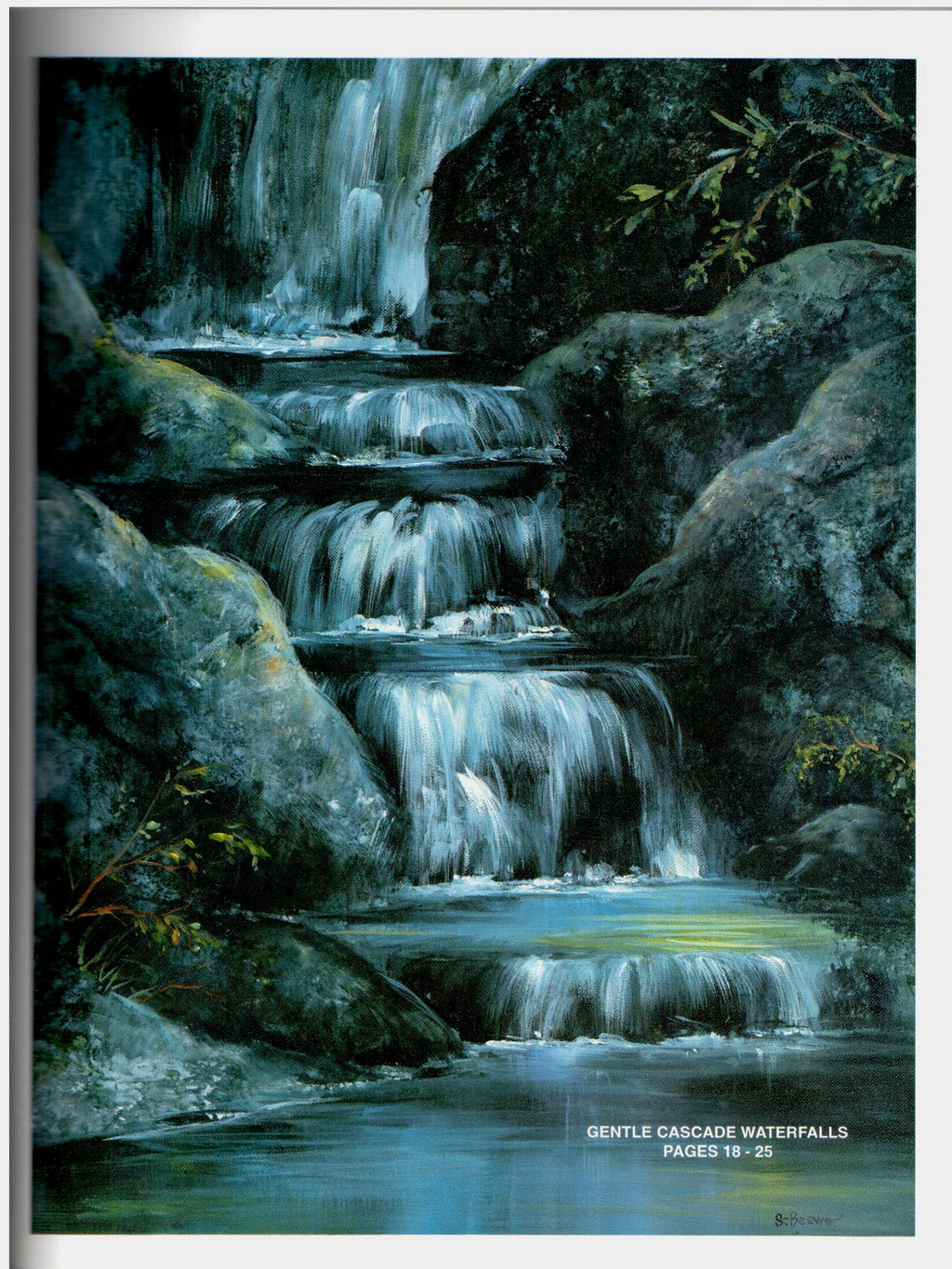 SHELFWORN: Enjoy Acrylic - Sue Scheewe-Brown