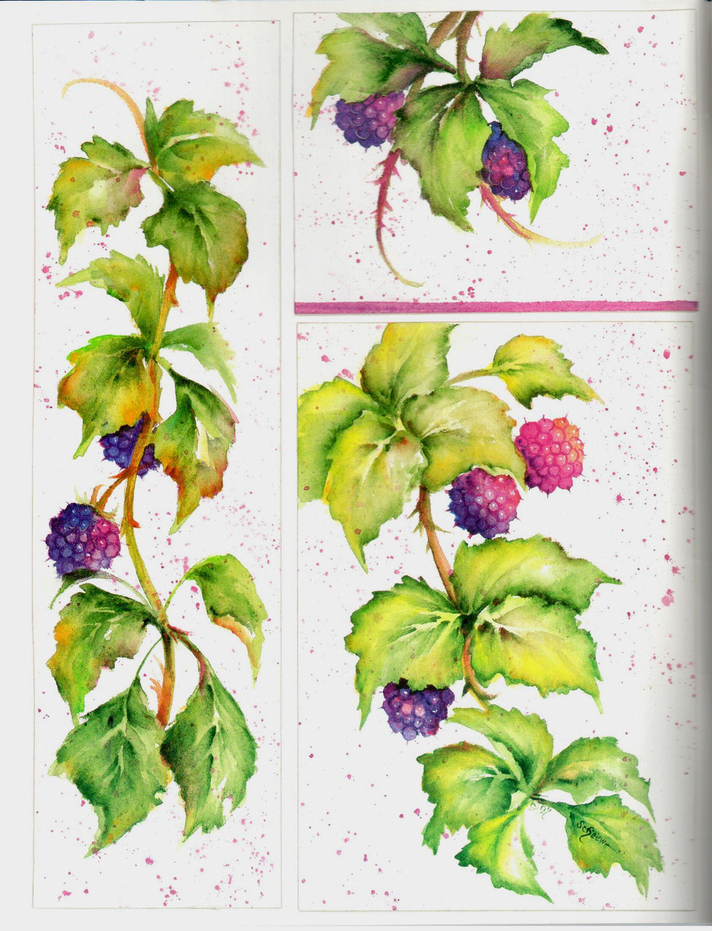 SHELFWORN: Enjoy Watercolor and Acrylic - Sue Scheewe Brown - OOP